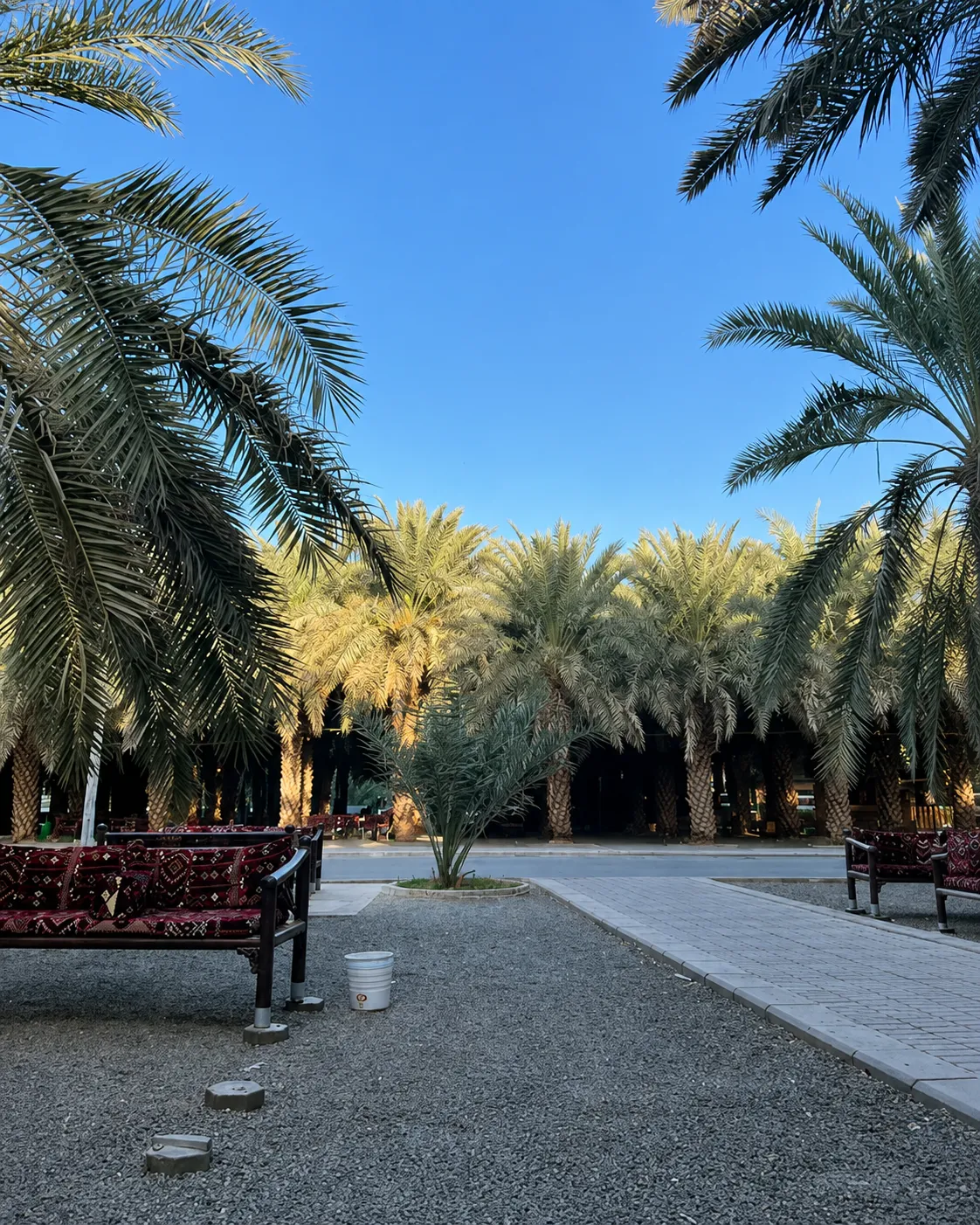 Medina: Private Guided Tour of the Historic Islamic Sites